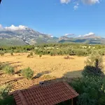 Villa Vasiliki Paliouras