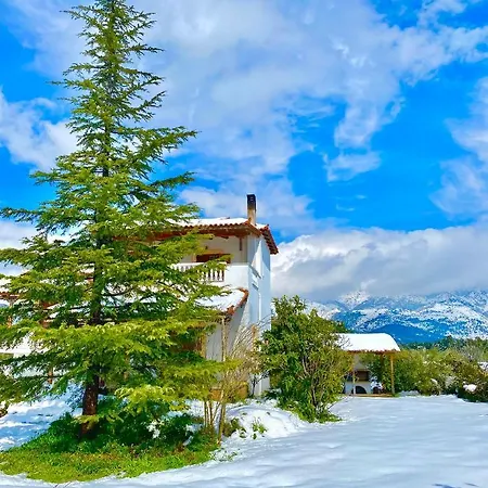 Vasiliki