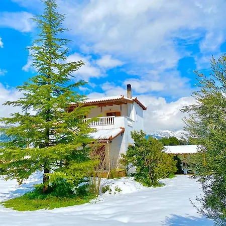 Vasiliki Villa