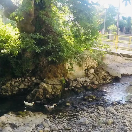 Villa Vasiliki *