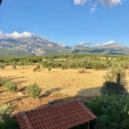 Villa Vasiliki Paliouras